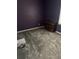 A carpeted bedroom with a dresser and a neutral color scheme at 13709 Juniper Blossom Dr, Tampa, FL 33618