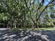 A parking lot surrounded by many mature trees that provide a lovely tree canopy at 13709 Juniper Blossom Dr, Tampa, FL 33618