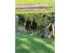 Charming pond view with ducks and lush greenery, creating a tranquil and natural setting at 13709 Juniper Blossom Dr, Tampa, FL 33618