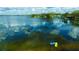 Stunning aerial shot of the lake highlighting clear waters and shoreline with kayaks, showcasing community access at 13755 Orange Sunset Dr # 101, Tampa, FL 33618