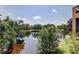 Beautiful lake view surrounded by lush trees and tropical foliage at 1531 Ember Ln, Tarpon Springs, FL 34689