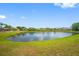 A serene backyard view of a tranquil lake surrounded by lush green grass and neighboring homes at 19309 Garden Quilt Cir, Lutz, FL 33558