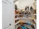 Walk-in pantry with ample shelving for organized storage at 2011 Water Wheel Ct, Dunedin, FL 34698