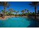 Resort-style community pool surrounded by palm trees and comfortable lounge chairs, perfect for relaxation at 2424 Caraway Dr, Venice, FL 34292