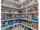 Organized pantry with shelves, baskets, and various food items at 31921 Magna Gulf Loop, San Antonio, FL 33576