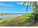 Scenic backyard view overlooking a serene lake, with lush green grass and beautiful landscaping at 5457 Sandy Shell Dr, Apollo Beach, FL 33572