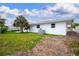 View of the backyard showing the home's exterior, yard and mature palm tree at 6304 Memorial Hwy, Tampa, FL 33615