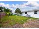 Backyard with view of exterior, showing the home's windows, lawn, and mature palm tree at 6304 Memorial Hwy, Tampa, FL 33615