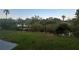Green backyard surrounded by bushes and trees that back up to water at 7313 Royal Palm Dr, New Port Richey, FL 34652