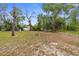 Large, grassy backyard featuring mature trees and ample space at 11225 Flower Ave, Weeki Wachee, FL 34613