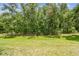 The large, grassy backyard is lined with mature trees and a thick privacy barrier at 11628 Aspenwood Dr, New Port Richey, FL 34654