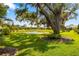 Lush green backyard featuring mature landscaping and a serene pond view, perfect for relaxation and enjoying nature at 11813 Crawford Parrish Ln, Parrish, FL 34219