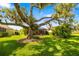 Expansive backyard featuring mature tree, manicured lawn, and a screened lanai perfect for outdoor entertaining at 11813 Crawford Parrish Ln, Parrish, FL 34219