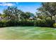 Community basketball court surrounded by lush greenery under a blue sky, perfect for outdoor recreation at 11813 Crawford Parrish Ln, Parrish, FL 34219