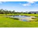 Picturesque view of a community pond surrounded by lush greenery and beautiful homes at 11813 Crawford Parrish Ln, Parrish, FL 34219