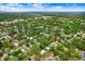 Aerial view of the property surrounded by trees, with the city skyline in the distance at 1213 E Idlewild Ave, Tampa, FL 33604