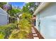 Well-maintained side yard featuring a stepping stone path, tropical plants and a basketball hoop at 1213 E Idlewild Ave, Tampa, FL 33604