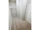A walk-in closet featuring carpet flooring and wire shelving for optimal storage at 13014 Willow Grove Dr, Riverview, FL 33579