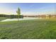 Beautiful waterfront views of the pond from the community green space and surrounding homes at 13014 Willow Grove Dr, Riverview, FL 33579