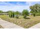 Well-maintained front yard, featuring mature trees and minimal landscaping, providing great curb appeal at 1410 Brighton Ct, Palm Harbor, FL 34684