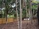 Back yard featuring mature trees providing ample shade and privacy at 1613 Long Pond Dr, Valrico, FL 33594