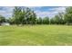 Sprawling green lot with a brick fire pit, mature trees, and a detached garage at 17566 Hyland Ln, Dade City, FL 33523
