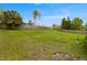 Expansive backyard featuring a large grassy area, mature trees, and a fenced perimeter at 1813 Lakeview Dr, Brandon, FL 33511