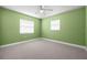 This spacious bedroom features green walls, carpet flooring and great natural light at 1813 Lakeview Dr, Brandon, FL 33511