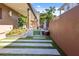 Inviting backyard walkway with lush landscaping, modern design elements, and a peaceful ambiance at 2902 W Fair Oaks Ave, Tampa, FL 33611