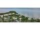 Captivating aerial view of waterfront community homes and the bay, surrounded by lush greenery and natural beauty at 300 S Florida Ave # 600L, Tarpon Springs, FL 34689