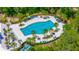 Aerial shot of the community pool featuring palm trees, lounge chairs, and well-maintained landscaping at 4633 Ballantrae Blvd, Land O Lakes, FL 34638