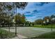 Outdoor community basketball court surrounded by mature trees and a green space at 5117 Fairway One Dr, Valrico, FL 33596