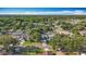 Beautiful aerial view of a residential neighborhood with mature trees and well-maintained homes at 5808 Silver Moon Ave, Tampa, FL 33625