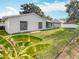 Backyard of home features white privacy fence, grass and fruit trees at 5808 Silver Moon Ave, Tampa, FL 33625