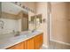 Bathroom featuring double sink and large mirror at 7157 Hamilton Park Blvd, Tampa, FL 33615