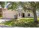 Charming single-story home featuring a well-maintained lawn, mature tree, and an attached two-car garage at 7157 Hamilton Park Blvd, Tampa, FL 33615
