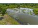 A scenic pond and wetlands create an impressive backdrop in this aerial view at 7157 Hamilton Park Blvd, Tampa, FL 33615