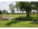 Backyard pond surrounded by lush greenery and mature trees creating a tranquil natural setting at 7157 Hamilton Park Blvd, Tampa, FL 33615