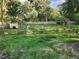 Large backyard enclosed by a wooden fence and featuring lush grass at 11107 Riverview Dr, Riverview, FL 33578