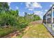 A grassy backyard features a wooden fence, bordered by lush trees and shrubbery, offering privacy at 11627 Ivy Flower Loop, Riverview, FL 33578