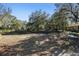A community playground with swings, slides, and benches, surrounded by mature trees at 11627 Ivy Flower Loop, Riverview, FL 33578