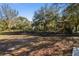 Outdoor playground with swings and slides surrounded by mulched ground and mature trees at 11627 Ivy Flower Loop, Riverview, FL 33578