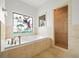 Bright bathroom featuring a soaking tub and walk-in shower at 13608 Lytton Way, Tampa, FL 33624