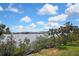 Expansive water view framed by lush greenery and palm trees, showcasing tranquil waters under a sunny, cloud-filled sky at 1402 Harbour Walk Rd, Tampa, FL 33602