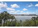Stunning water view featuring palm trees, blue skies, and various shrubbery at 1402 Harbour Walk Rd, Tampa, FL 33602
