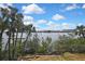Scenic water view featuring palm trees, calm waters, and a distant cityscape under a partly cloudy sky at 1402 Harbour Walk Rd, Tampa, FL 33602