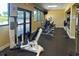 Community gym featuring weight machines, elliptical machines, and large windows for natural light at 18531 Bent Pine Dr, Hudson, FL 34667