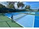 Vibrant pickleball courts with blue and green surfaces, inviting residents to enjoy friendly competition at 18531 Bent Pine Dr, Hudson, FL 34667