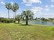 Expansive backyard with a serene lake view, green lawn, and mature palm trees at 2730 River Woods Dr, Parrish, FL 34219
