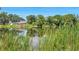 Scenic view of a serene pond surrounded by lush greenery and a glimpse of a nearby home at 3100 70Th N St, St Petersburg, FL 33710